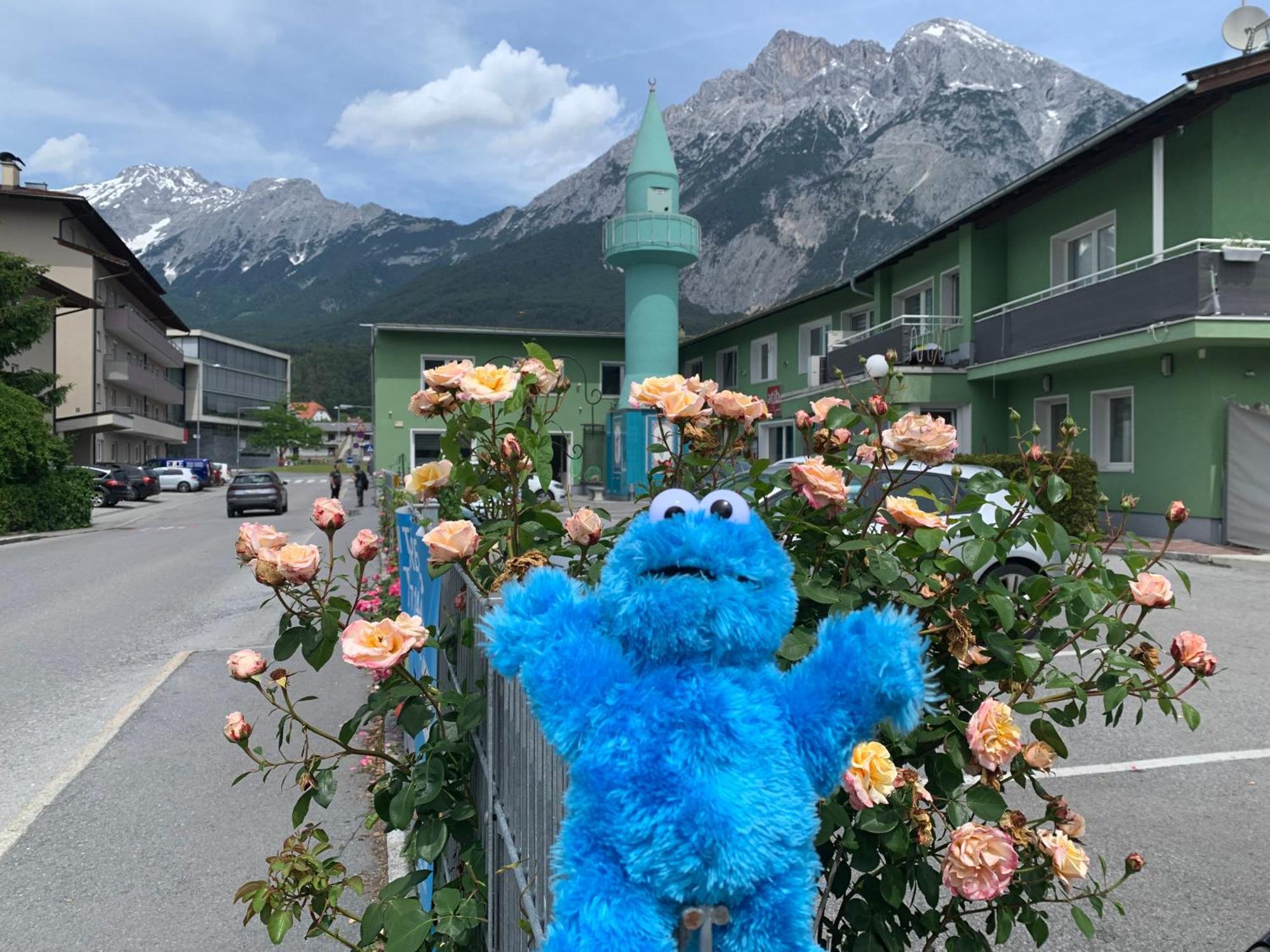 Telfer Treasure: Unkomplizierter Familienurlaub Telfs Exterior foto